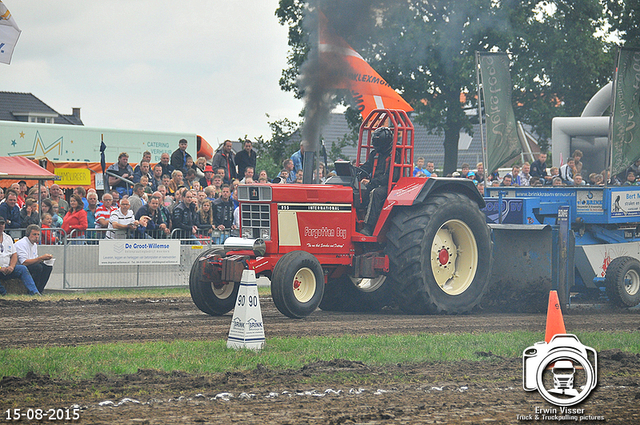 DSC 4318-BorderMaker 15-05-2015 Meerkerk