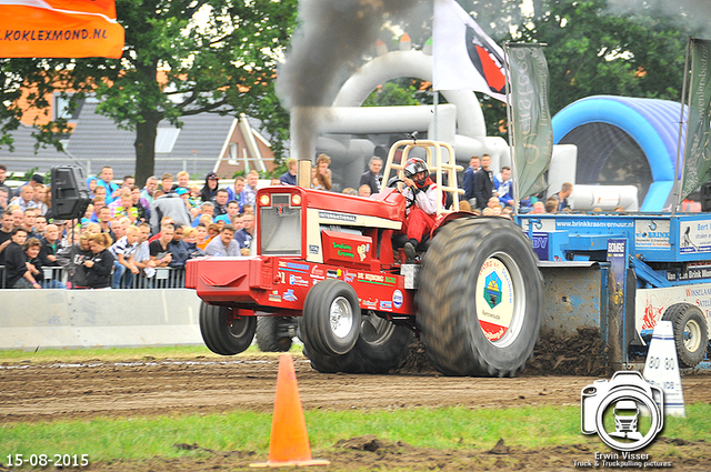 DSC 4360-BorderMaker 15-05-2015 Meerkerk