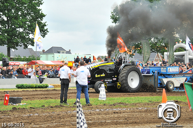 DSC 4379-BorderMaker 15-05-2015 Meerkerk