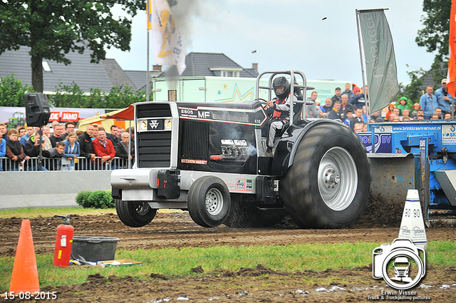 DSC 4427-BorderMaker 15-05-2015 Meerkerk