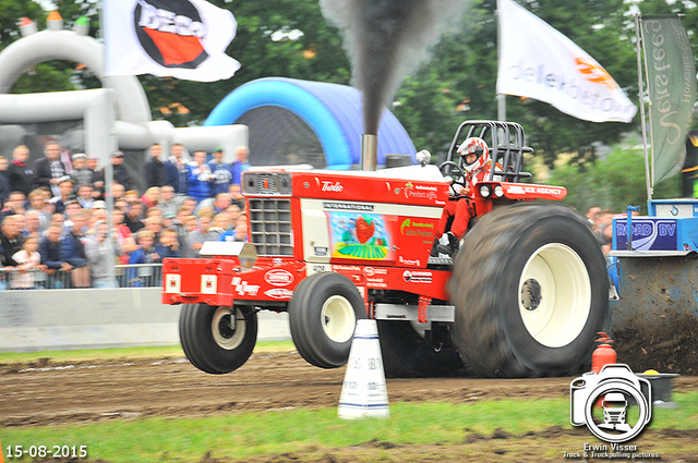 DSC 4437-BorderMaker 15-05-2015 Meerkerk