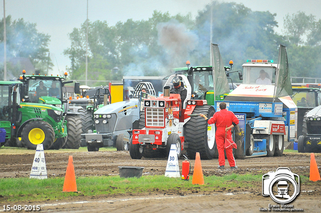 DSC 4471-BorderMaker 15-05-2015 Meerkerk