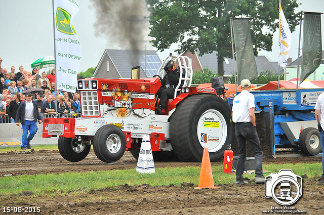 DSC 4509-BorderMaker 15-05-2015 Meerkerk