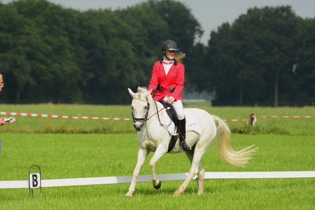  DSC6446 balingehofforum