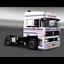 ets2 Daf 3600 4x2 1 - prive skin ets2