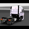 ets2 Daf 3600 4x2 2 - prive skin ets2