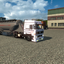 ets2 Daf 3600 4x2 + Cementt... - prive skin ets2