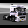 ets2 Daf 3600 4x2 1 - prive skin ets2