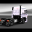 ets2 Daf 3600 4x2 2 - prive skin ets2