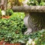 Irrigation - The Garden Gates Landscaping Company