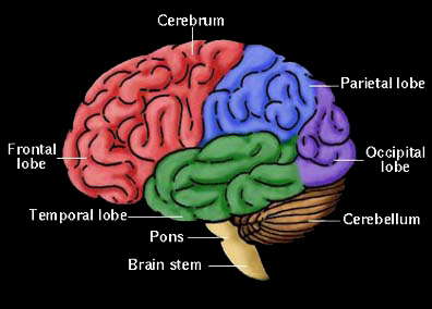 The Effect Of Positive Thinking On Your Health Neuro Elite