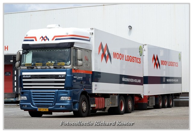 Mooy logistics BX-LP-45 (1)-BorderMaker Richard