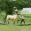 brug1 - balingehofforum