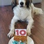 Senna 10 jaar - Picture Box