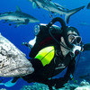 scuba diving certification nj - Scuba Guru