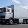 DSC 8945-BorderMaker - LKW Veteranen Treffen Autoh...