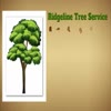 richmond va tree service - Picture Box