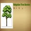 richmond va tree service - Picture Box