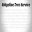 tree removal richmond va - Picture Box