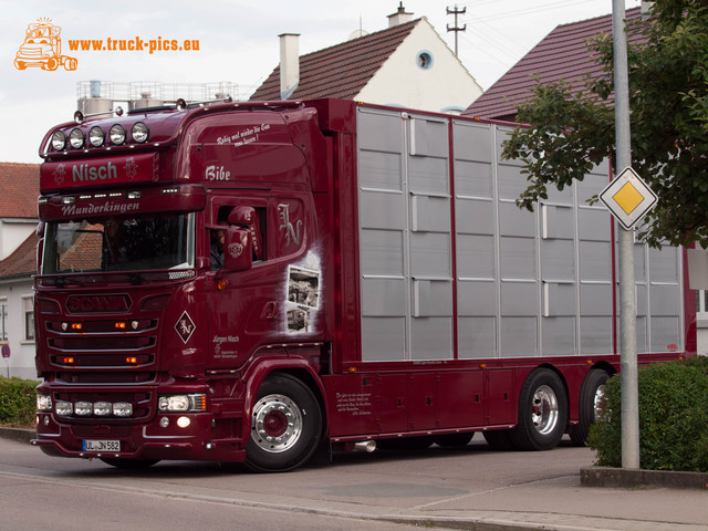   www.truck-pics Sommerfest & Truckertreffen Munderkingen 2015 powered by www.truck-pics.eu