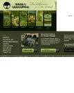 landscaping cincinnati Seilers Landscaping