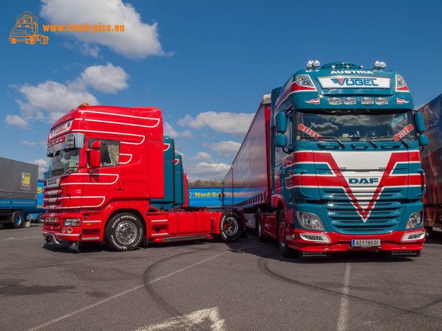 wwwtruck-picseu---rssel-lohfelden-2015-53 17211138 RÃ¼ssel Truck-Show, Autohof Lohfeldener RÃ¼ssel, powered by www.truck-pics.eu