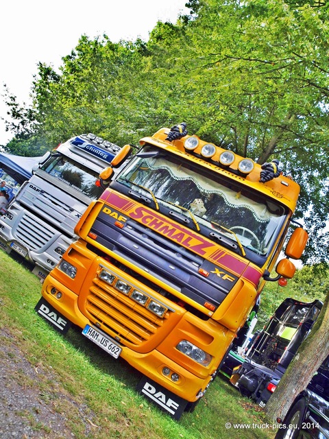 P8090173-1 Truck Treff Kaunitz 2014