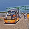 P7194199 - Truck Grand Prix Nürburgrin...