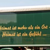 P7194239 - Truck Grand Prix Nürburgrin...