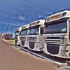 P7194368 - Truck Grand Prix Nürburgrin...