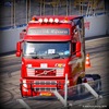 P7194584 - Truck Grand Prix Nürburgrin...