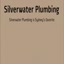 Silverwater Plumbing - Picture Box