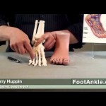 seattle foot doctor Foot & Ankle Center of Washington