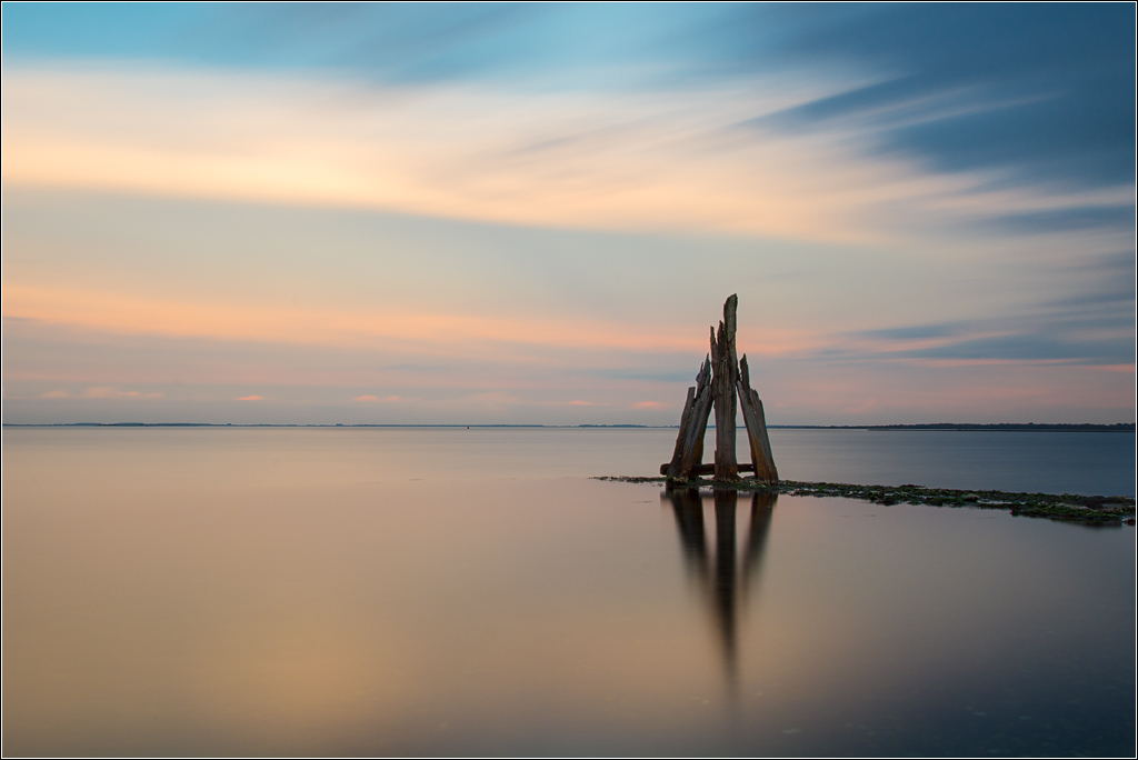  DSC2184 Soft and blue up - 