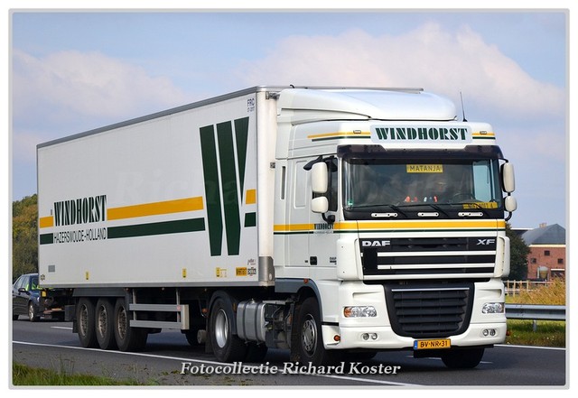 Windhorst BV-NR-31-BorderMaker Richard