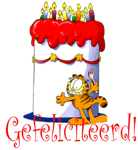 gefeliciteerd+garfield+taart - 