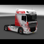 ets2 Daf XF 105 4x2 van Don... - prive skin ets2