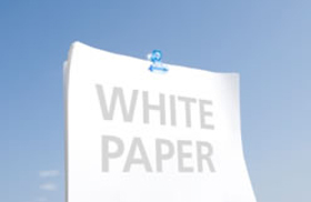 5.3 white papers graphic - Anonymous