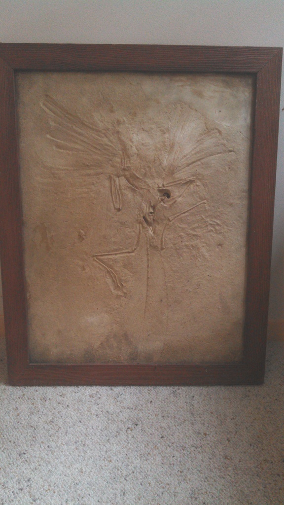 IMG 20151108 083258 661 - 