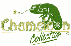 chameleon logo - Anonymous