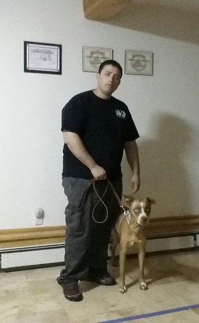 dog obedience training poughkeepsie Dog Training Beyond, LLC