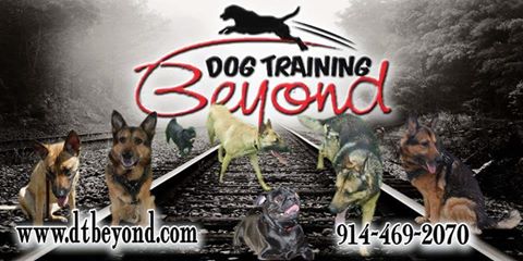 dog training poughkeepsie Dog Training Beyond, LLC