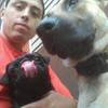dog trainers poughkeepsie - Dog Training Beyond, LLC