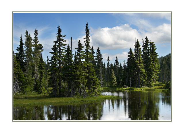 Strathcona Provincial Park Landscapes