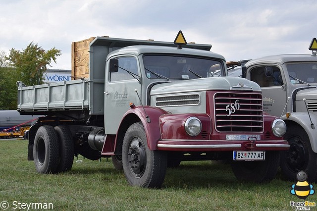 DSC 1153-BorderMaker LKW Veteranen Treffen Autohof WÃ¶rnitz 2015