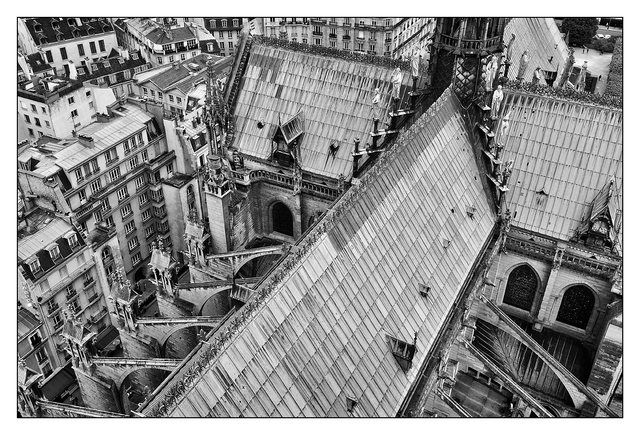 Notre Dame roof France