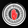 logo - Borrani Wheels (Aust) Pty Ltd