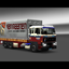 ets2 Daf 2800 6x4 BDF + Aan... - prive skin ets2