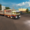 ets2 Daf 2800 6x4 BDF + Aan... - prive skin ets2