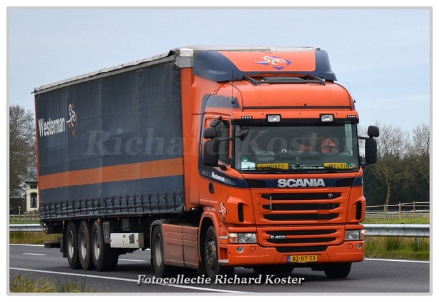 Westerman BZ-DT-33-BorderMaker Richard